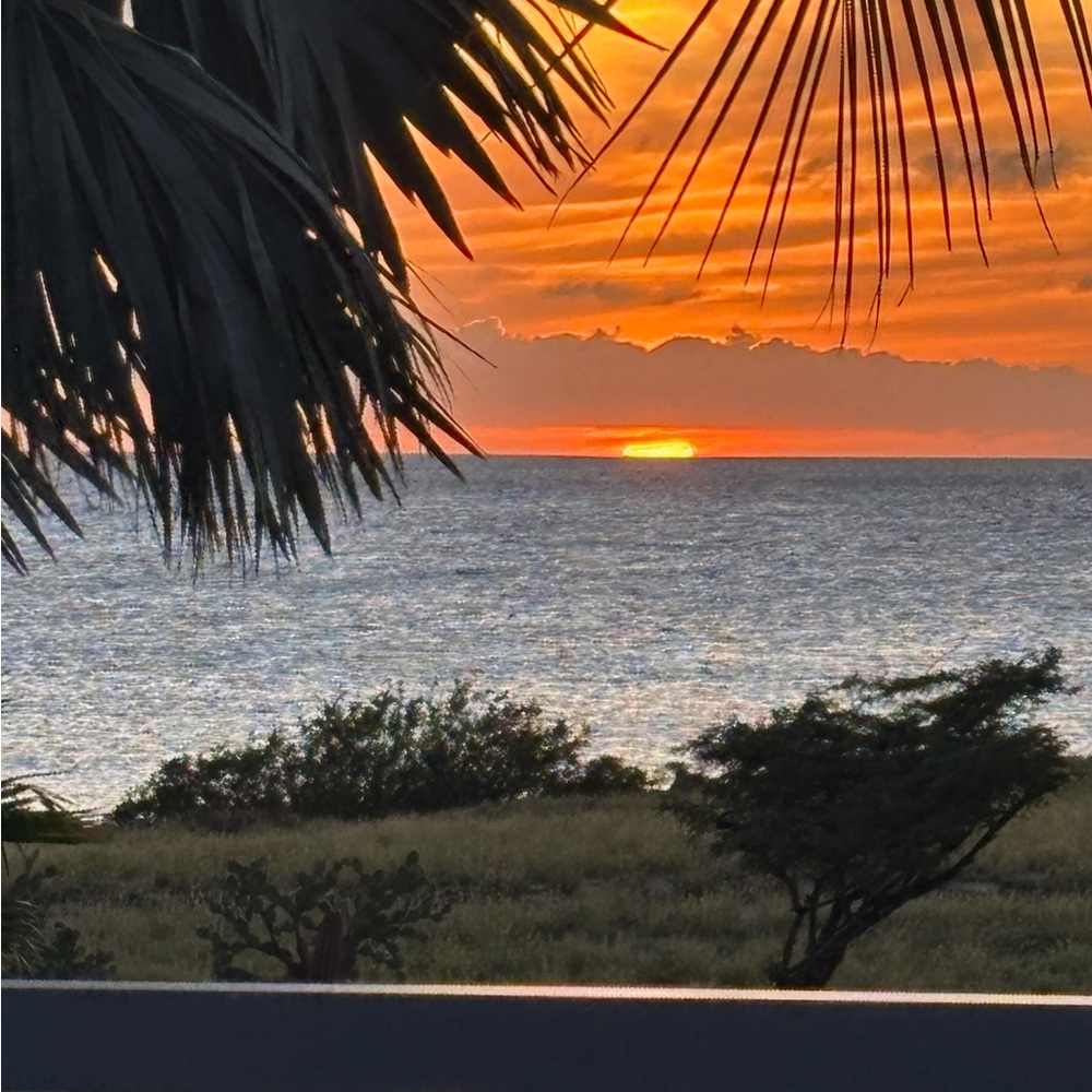 Meet your Posher, Giana